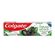 Gel-Dental-Natural-Extracts-Carvao-Ativado-E-Menta-Colgate-90g
